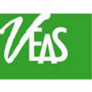 Minh Vi Exhibition & Advertisement Services Co., Ltd (VEAS Co., Ltd)