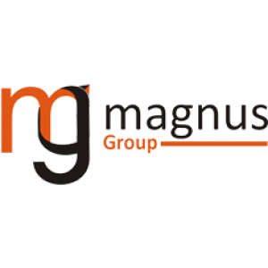 Magnus Groups