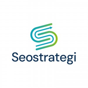 Seo Strategi