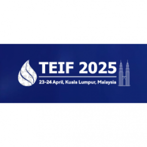 TEIF 2025 International Investment Forum