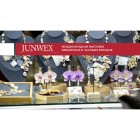 JUNWEX 2025